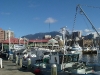 Port de Hobart - Mt Wellington